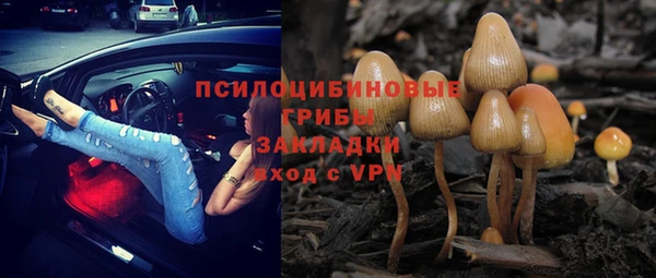 спиды Волоколамск